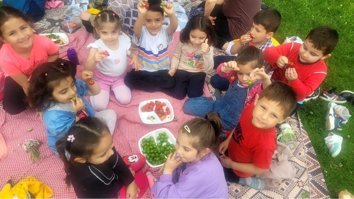 KAYIKÇILAR ANA SINIFI ÖĞRENCİLERİ VE VELİLERİ PİKNİKTE